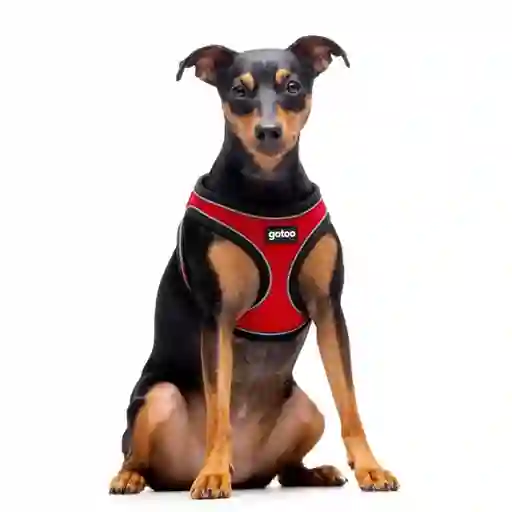 Arnés Rojo Transpirable De Malla Con Costura Reflectante Para Perros Talla Xs