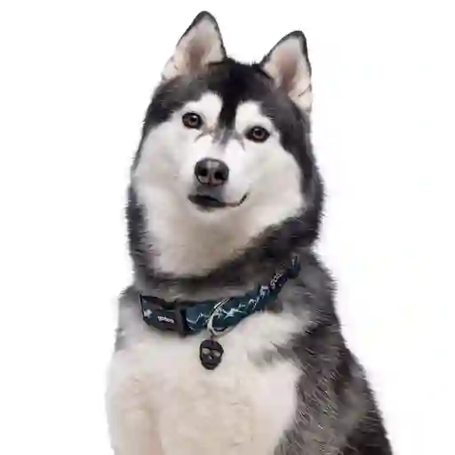 Collar Con Estampado De Montañas Para Perros Talla M