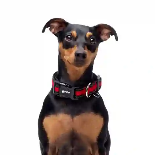 Collar Rojo Transpirable De Malla Para Perros Talla M