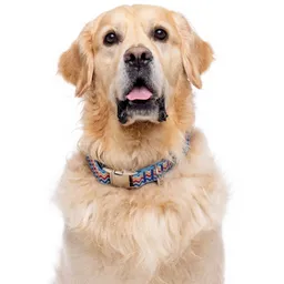 Collar Ajustable Con Estampado Zig-zag Para Perros Talla L