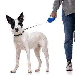 Correa Retractable Talla M 20 Kg Para Perros Rosado