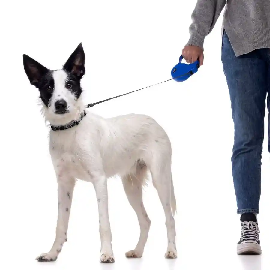 Correa Retractable Talla M 20 Kg Para Perros Rosado