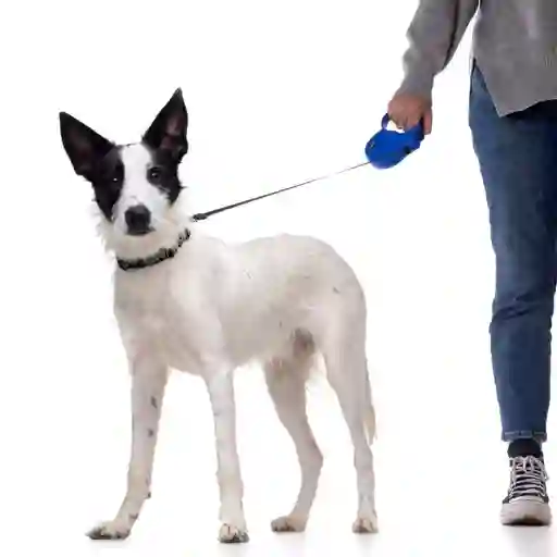 Correa Retractable Talla S 12 Kg Para Perros Rosado