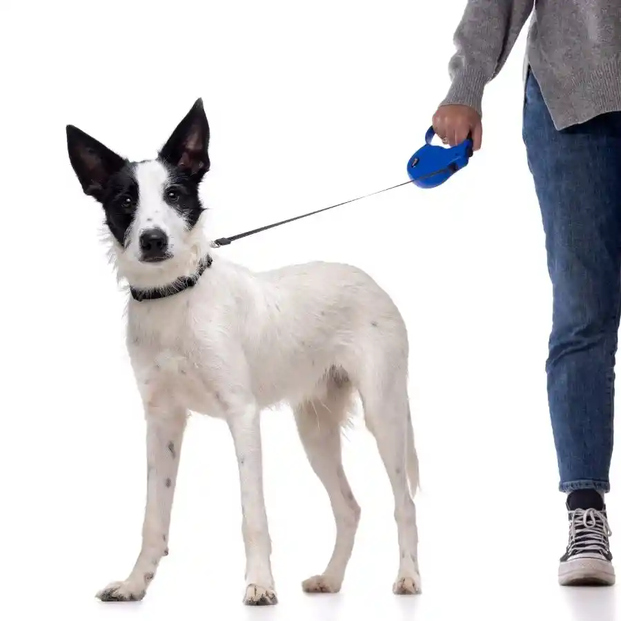 Correa Retractable Talla S 12 Kg Para Perros Rosado