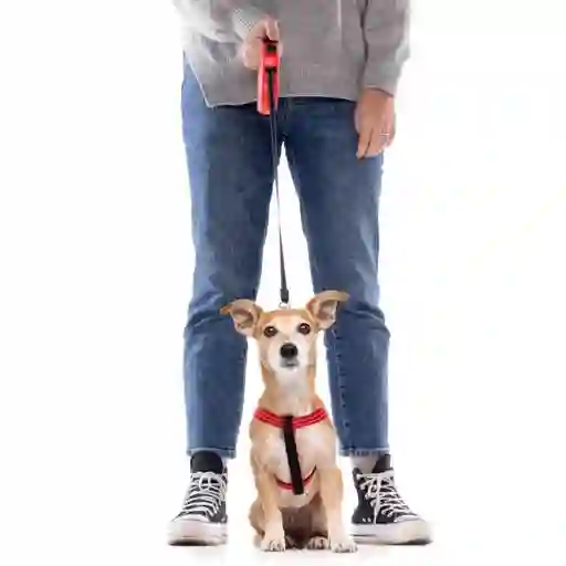 Correa Retractable Talla Xs 7 Kg Para Perros Rojo