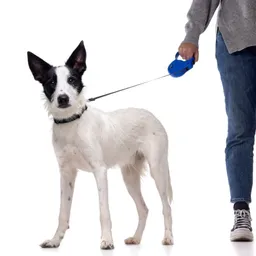 Correa Retractable Talla S 12 Kg Para Perros Negro