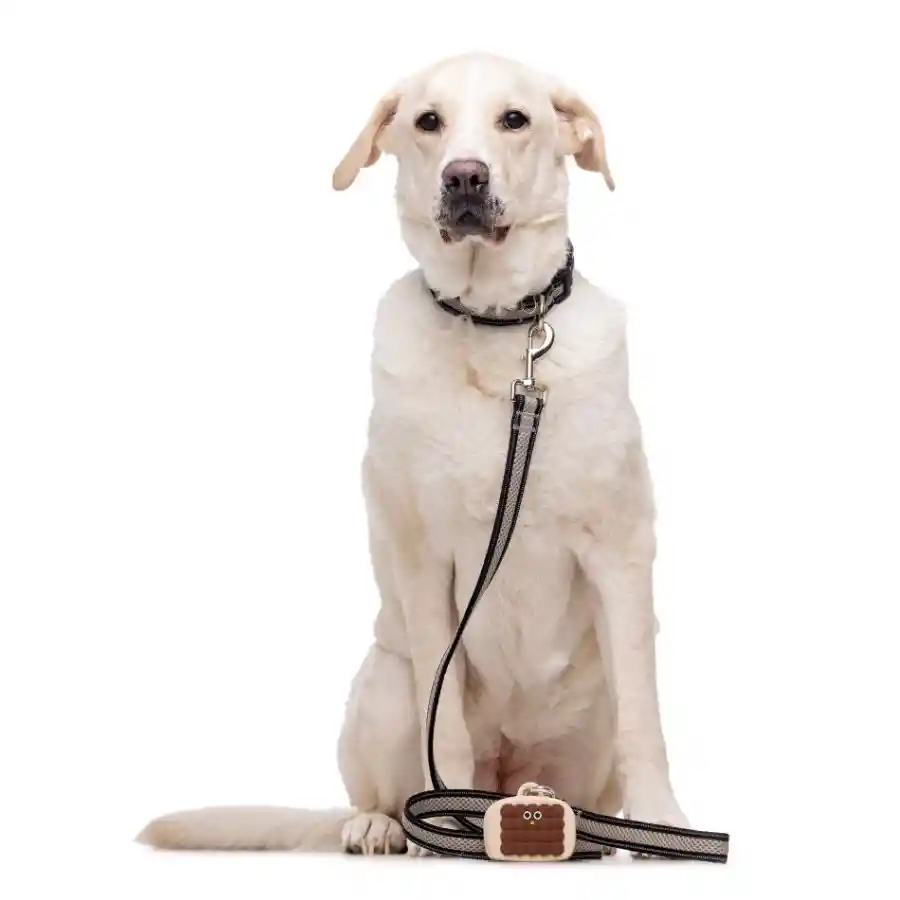 Porta Bolsas De Silicona Café