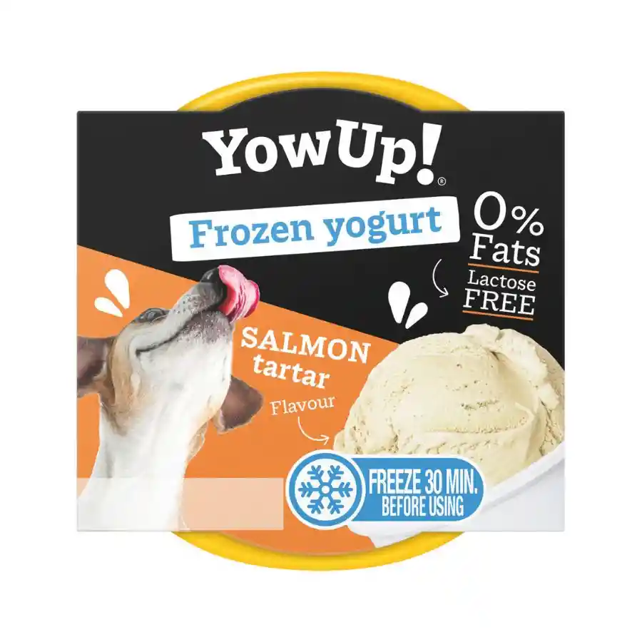 Yogurt Helado Yow Up Salmón Tartar 110 Gr