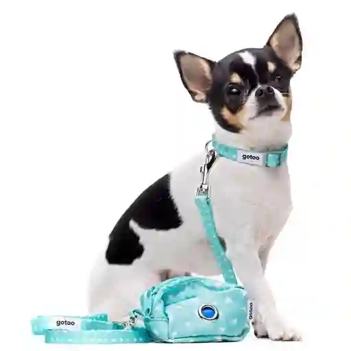 Set De Collar Y Correa Para Cachorros Con Diseño De Estrellitas