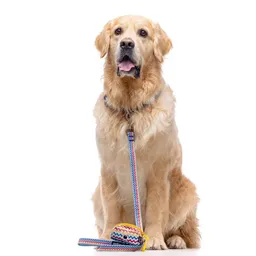 Porta Bolsas Con Diseño De Zig-zag Multicolor