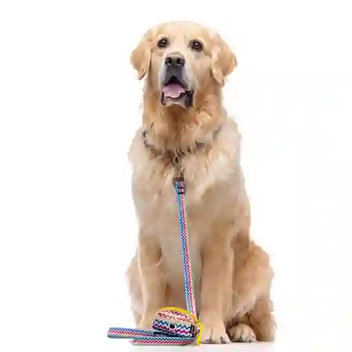 Porta Bolsas Con Diseño De Zig-zag Multicolor