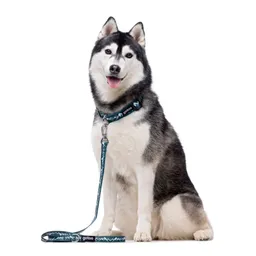 Correa Con Estampado De Montañas Para Perros Talla M