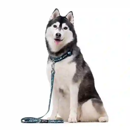 Correa Con Estampado De Montañas Para Perros Talla M