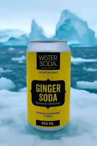Woter Soda 350 Ml Ginger