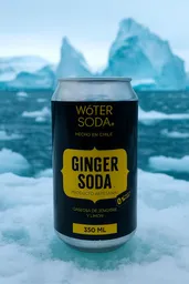 Woter Soda 350 Ml Ginger Sin Azucar Añadida