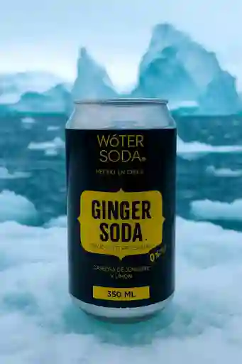 Woter Soda 350 Ml Ginger Sin Azucar Añadida