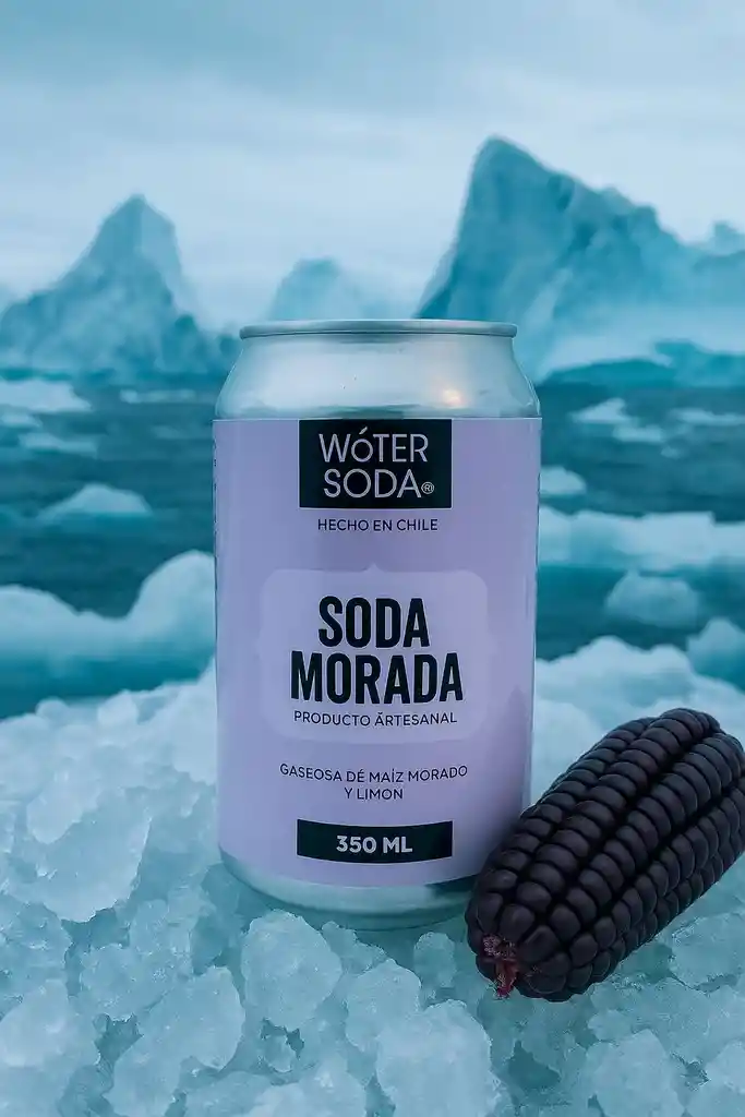 Woter Soda 350 Ml Chicha Morada (peruana)
