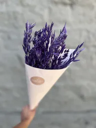 Bunny Tail Morado Seco