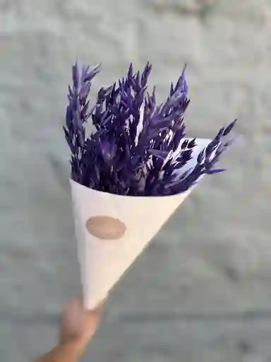 Bunny Tail Morado Seco