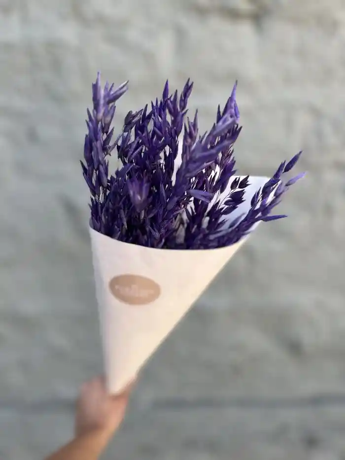 Bunny Tail Morado Seco