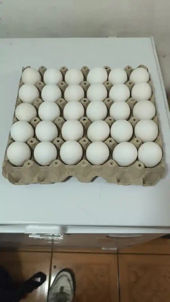 30 Huevos