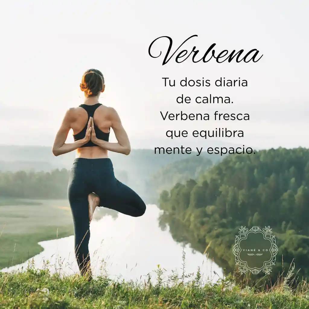 Home Spray Verbena 500 Ml