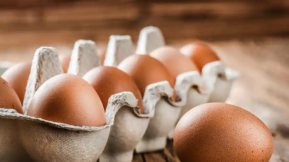 Docena De Huevos De Gallina Libre Extra