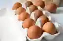Docena De Huevos De Gallina Libre Super