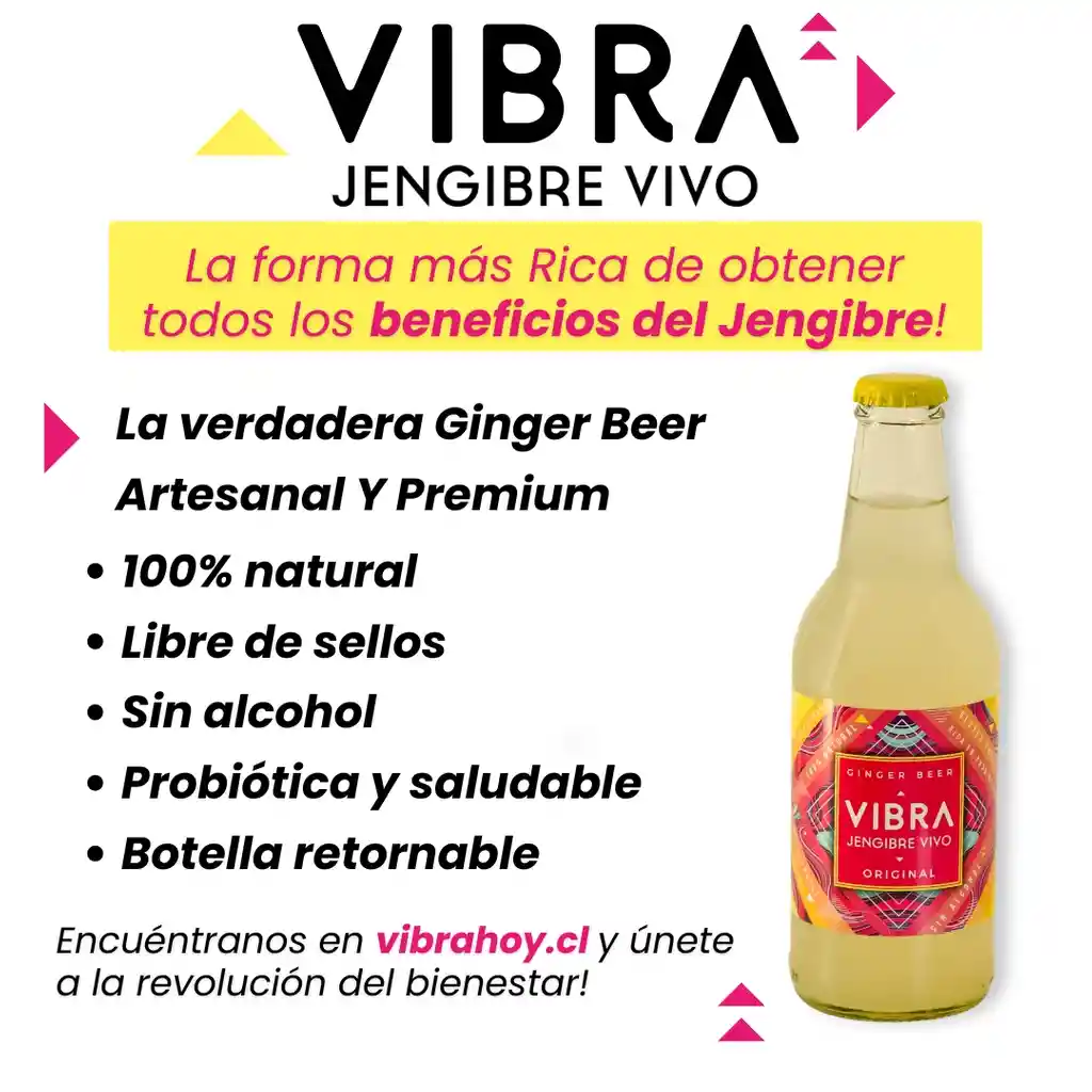 Vibra Mixta, Ginger Beer Artesanal 9 Und De 333 ml