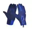 Guantes Termicos Windstoper Pantalla Tactil Celular Touch Screen Smartphoone Impermeable Safe Touch Invierno, Ciclismo, Camping Color Azul Talla Xl