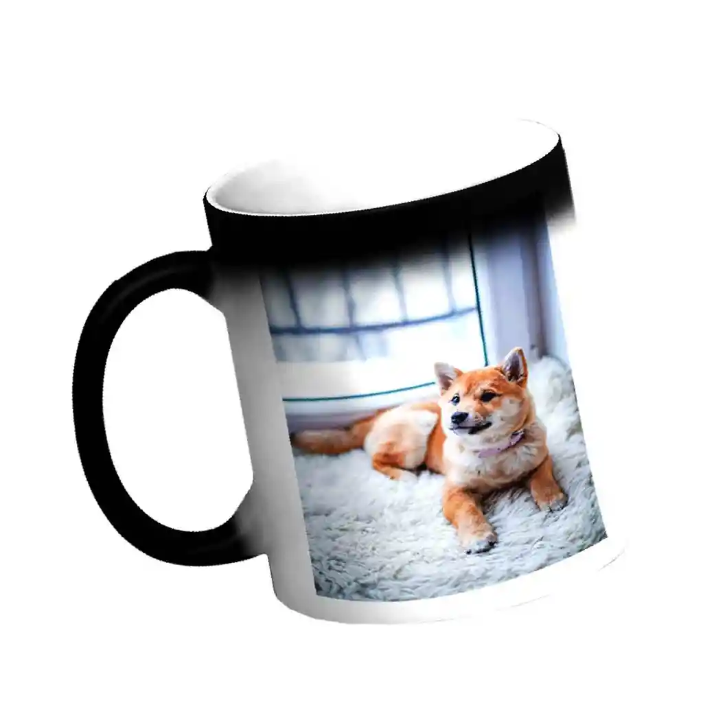 Taza Mágica Personalizada Con Foto