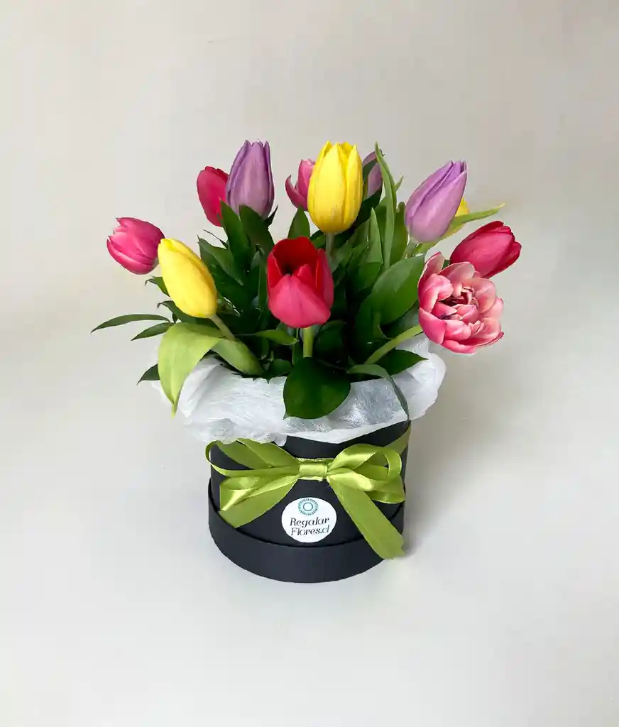 Caja Cilindro 12 Tulipanes Mixtos