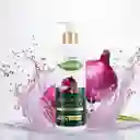 Shampoo Cebolla Roja Y Castor 250ml