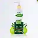 Shampoo Amla Y Polvo Ayurvedica 250ml