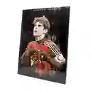 Regalo Poster Rígidos