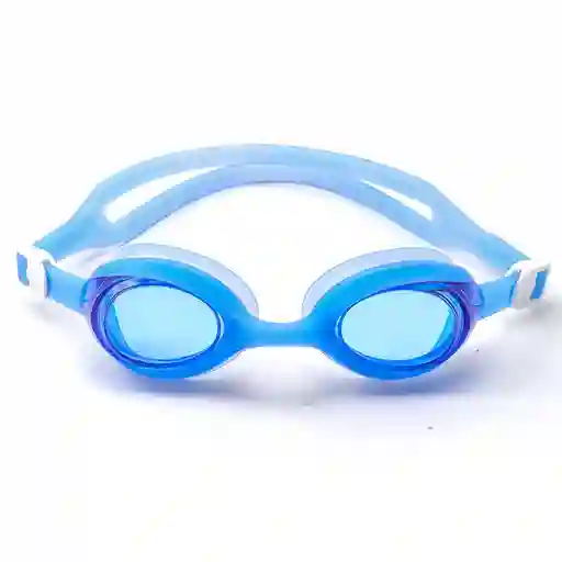 Lentes De Natación Adulto Antifog Phoenix Azul
