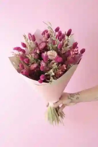 Ramo Fucsia Seco