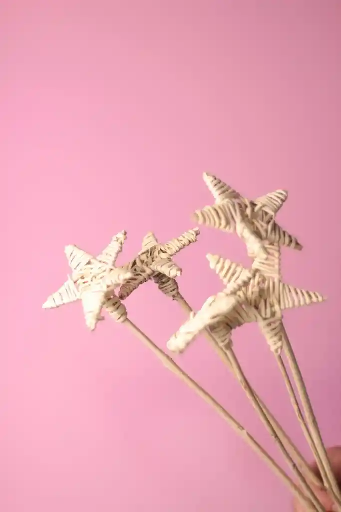 Estrella De Mimbre Seca