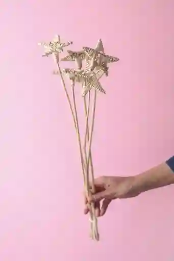 Estrella De Mimbre Seca