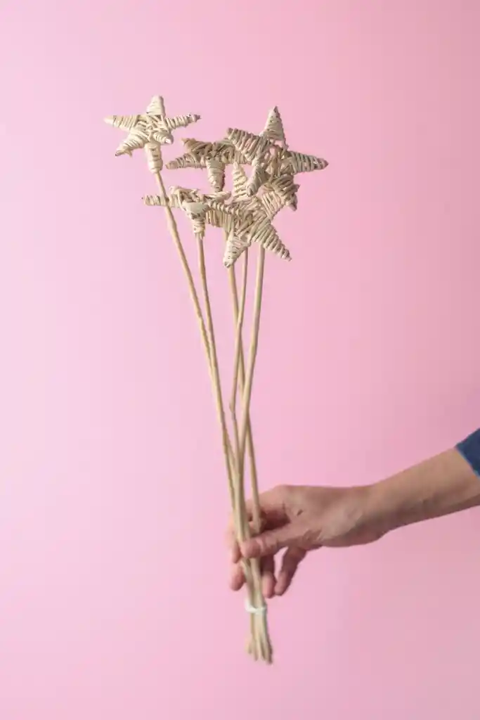 Estrella De Mimbre Seca