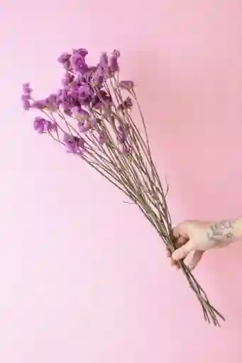 Estatice Rosado Seco