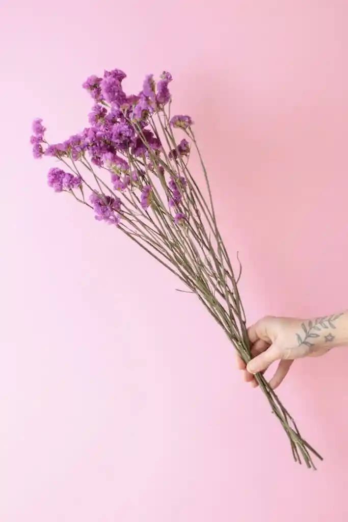 Estatice Rosado Seco