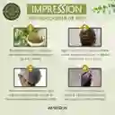 Henna 100% Color Natural Castaño 3 Sachets De 50gr