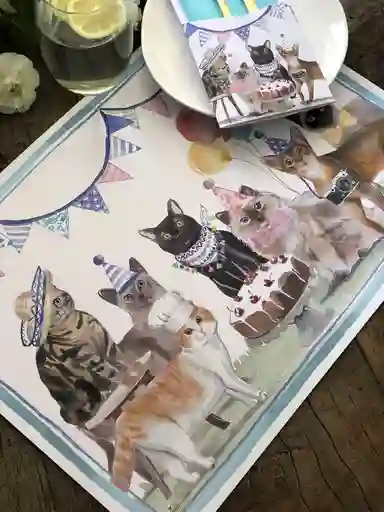 Pack Cumple · Gatos