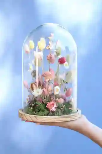 Arreglo Rosado En Fanal M