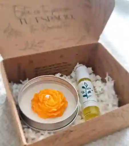 Kit Alegria