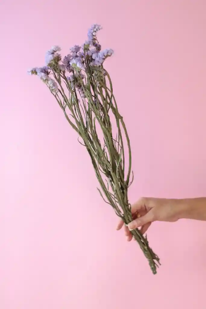 Estatice Lila Pastel