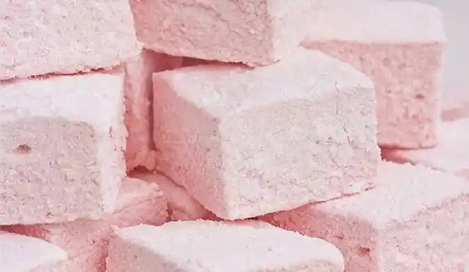 Sustancia Chica X 25 Unid