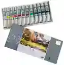 Acrilico Maries Estuche De 12 Colores, Tubo De 12ml