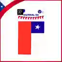 Guirnalda De Banderas De Chile 3.5 Metros - Regalos Chic